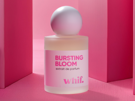 Bursting Bloom Online now