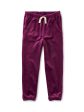 Very Velour Joggers Online