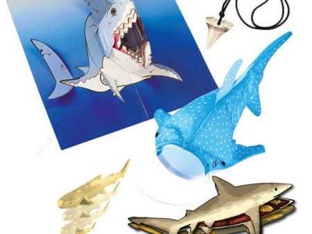 Sharkology on Sale